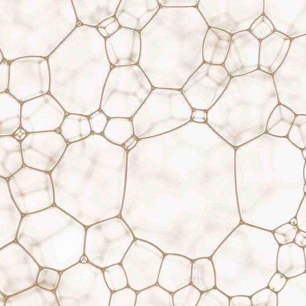 A legjobb ételek a menopauza idejére