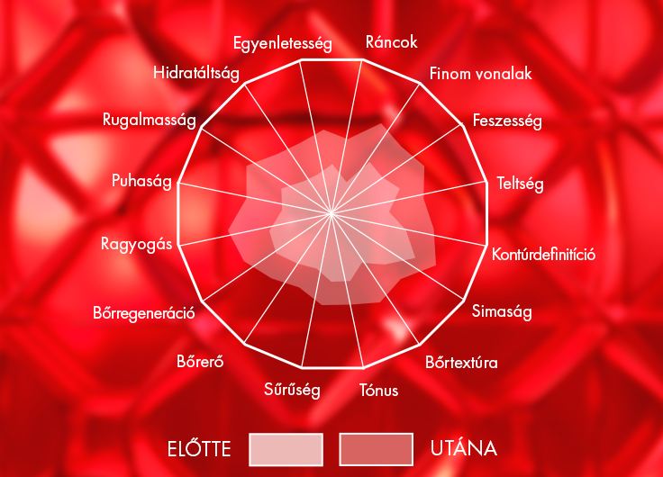 CS16 refresh vichy pages - HU.jpg